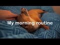 Мое Утро / My morning routine
