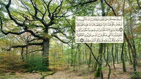 صفحة-243- page سعد الغامدي - -سورة يوسف -Joseph (Yusuf)12