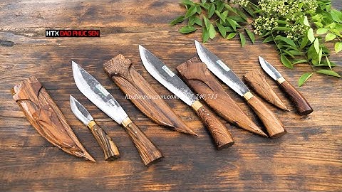 CẶP ĐÔI MẸ BỒNG CON LIỀN - MẸ BỒNG CON RỜI- HÀNG CHUẨN CỦA HTX DAO PHÚC SEN