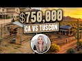 Why California Horse Owners Are Moving to Tucson (The $50,000/Year Math)