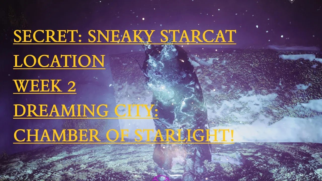 D2 Secret: Sneaky Starcat: Location Week 2: Dreaming City: Chamber Of Starlight!