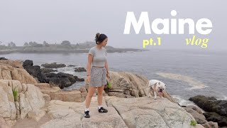 Exploring MAINE day 1-2 road trip from NYC our dog-friendly Airbnb and eating local seafood