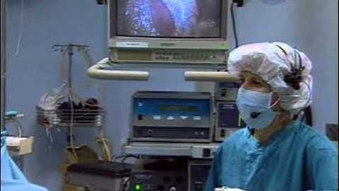 The Computer Chronicles - Speech Technologies (1999)