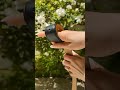 ترتيب الحزام طريقة ترتيب الحزام الصحيحة ترتيب ترتيب تنظيم ترتيب المنزل ترتيب الحزام حزام ترتيب الحزام طريقة ترتيب الحزام الصحيحة ترتيب ترتيب تنظيم ترتيب المنزل ترتيب الحزام حزام