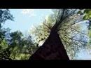 Unspeakable the film - Clip 5 of 5