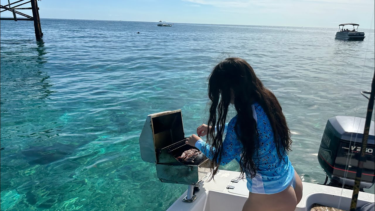 Pesca en miami de tiburón 🦈