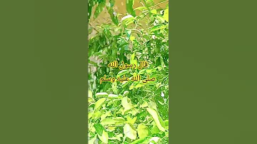 قال رسول الله صلى الله عليه وسلم Shorts 