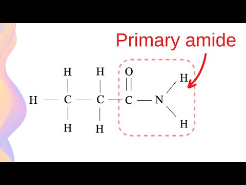 Amides: Structure and Properties, Amines vs Amides // HSC Chemistry