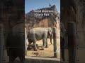 Бесплатный зоопарк в Сеуле📍 Там есть и ботанический сад 🌵 Большой и красивый парк 🌸