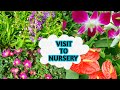 NURSERY VISIT || PRE-MONSOON NURSERY VISIT