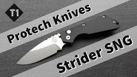 Protech Strider SNG (A Great Take On A Classic Design) #edc #everydaycarry #protechknives #autoknife