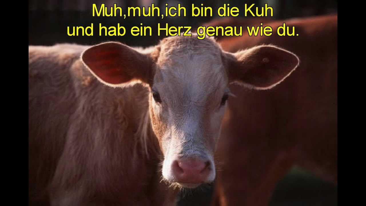 Yvonne, die Kuh - Song für Yvonne - Der Kuh Song - YouTube