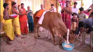 GO POOJA_GHO POOJA_GO PUJA(COW) #gomatha pooja #jai gomatha #గోమాత