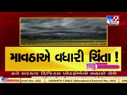 Savarkundala received unseasonal rain showers, farmers worried | Amreli | Tv9GujaratiNews