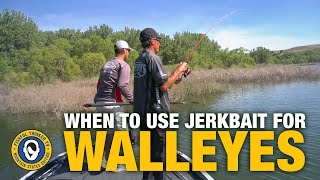 When To Use a Jerkbait for Walleyes?