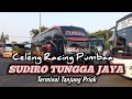 Celeng Racing "PUMBAA"...!!? SUDIRO TUNGGA JAYA Angkatan Pagi Dari Terminal Tj Priok.