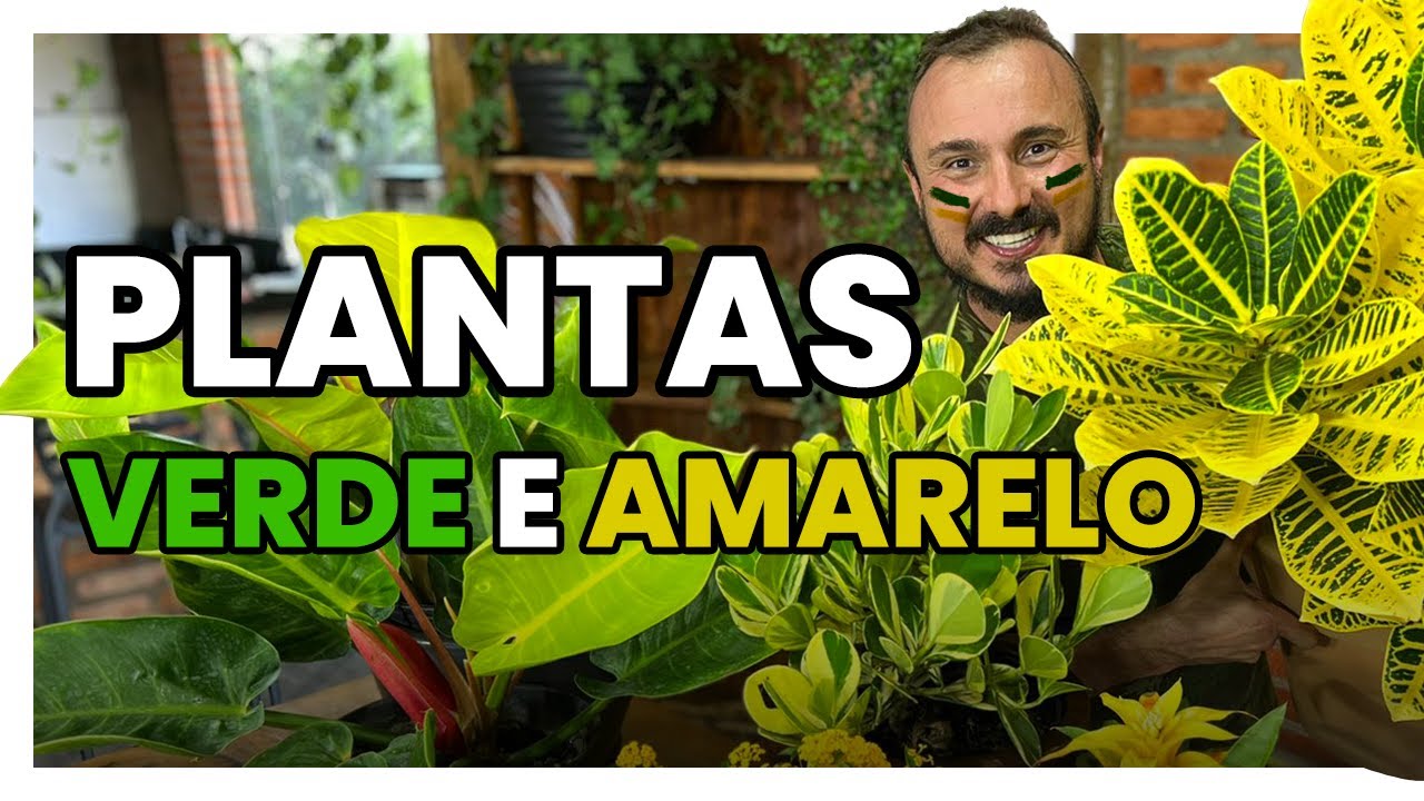6 PLANTAS verde e amarelo para CULTIVAR em casa ou jardim - YouTube