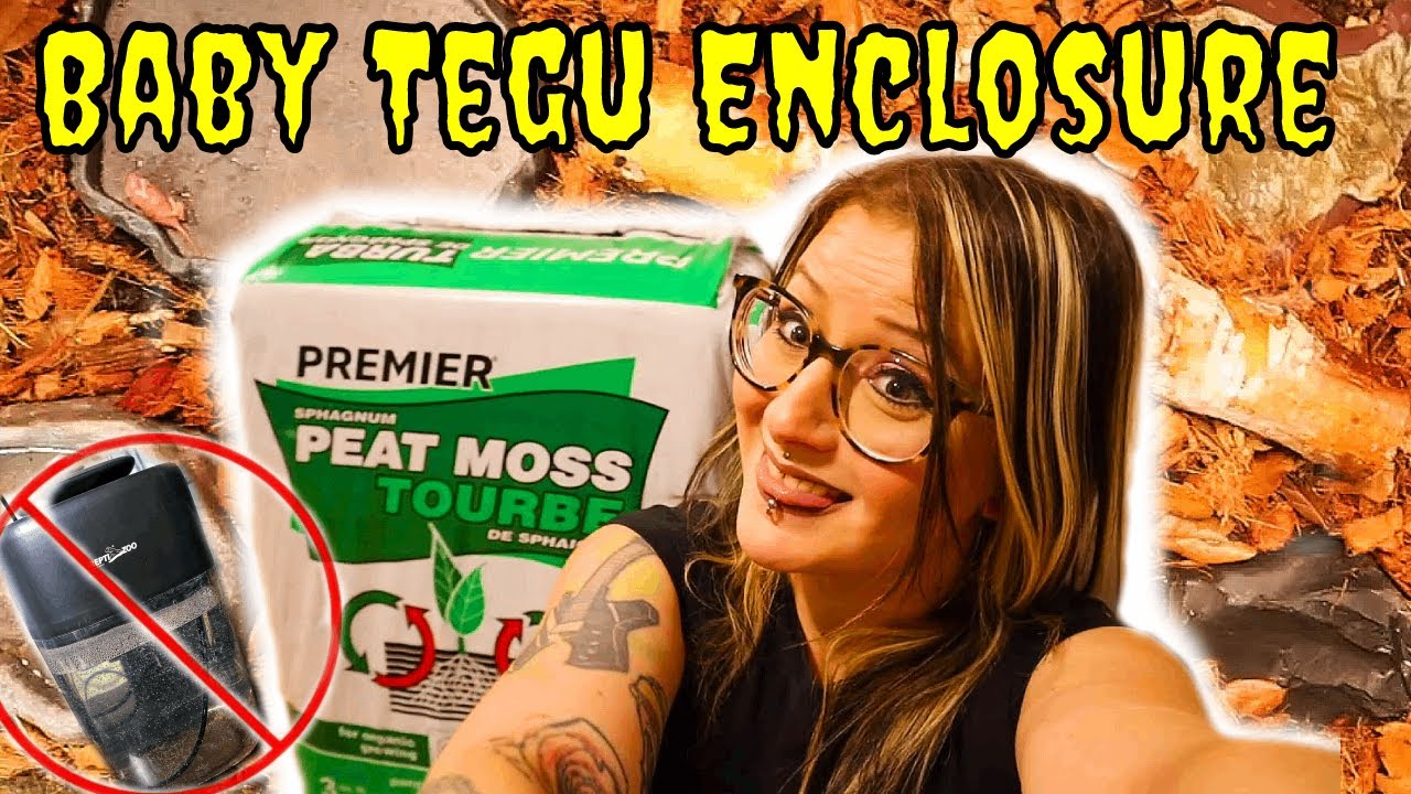 New Baby Tegu enclosure! + Substrate and humidity YouTube