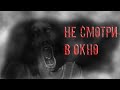 Страшные истории "Не смотри в окно"