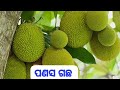 "ବାହାରେ କଣ୍ଟା ଭିତରେ ଅମୃତ ଫଳ"