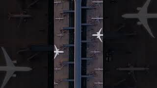 Aircraft - Turkish Airlines