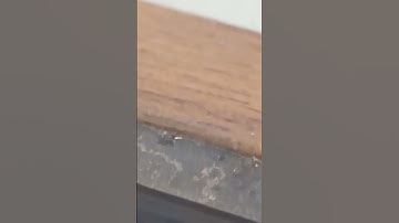 How quickly the snowflake malted!! #music #snow #song