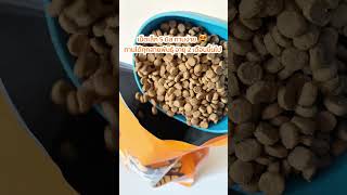 รีวิว อาหารแมว โฮลิสติก เกรนฟรี กลูเตนฟรี ไม่เค็ม โจโม่ สูตรปลาแซลมอนและมันฝรั่งหวาน #รีวิวอาหารแมว