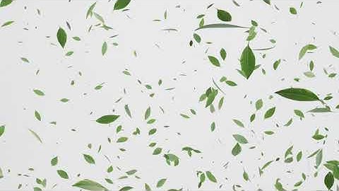 leaf fall | Blender 3D Animation [CGI]