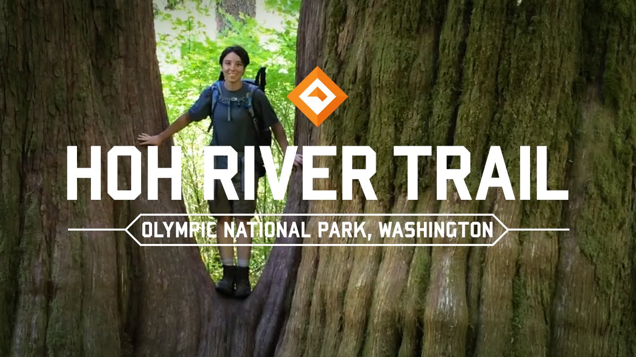 hoh rainforest backpacking