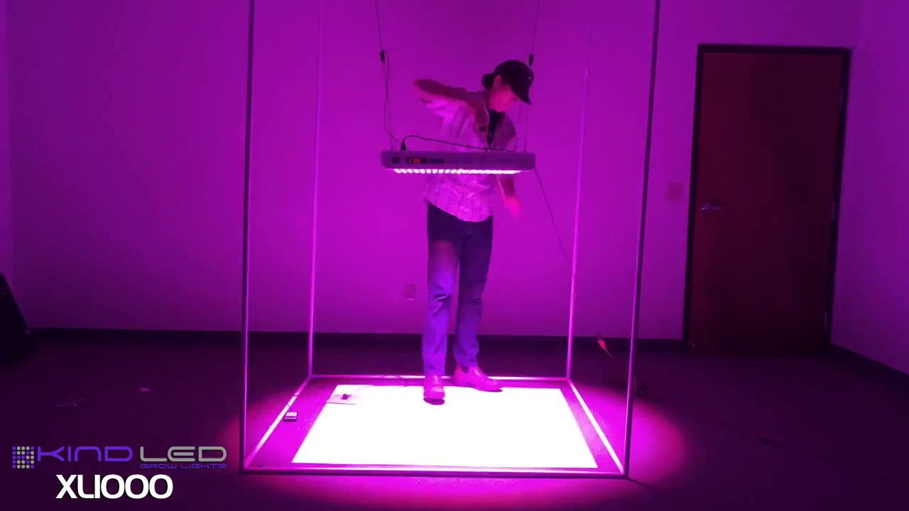 Lush LED vs  Kind LED   LED Grow Light Review