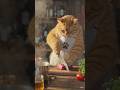cat cooking food #CatChef #CookingCat #ChefCat #FoodTok #CuteCat #OrangeCat#AICat #CatLovers