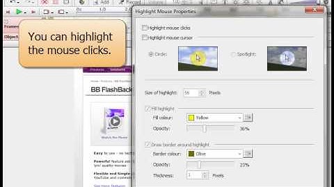 BB FlashBack User Guide: Cursor Highlighting