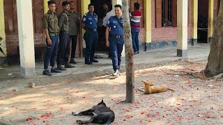 রাজবাড়ী, বরগুনা , পাবনা, কুড়িগ্রাম এবং ঝালকাঠিতে উপজেলার ফাঁকা ভোট কেন্দ্র | 21 May 2024