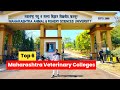 Maharashtra veterinary colleges  top 6 veterinary colleges in maharashtra