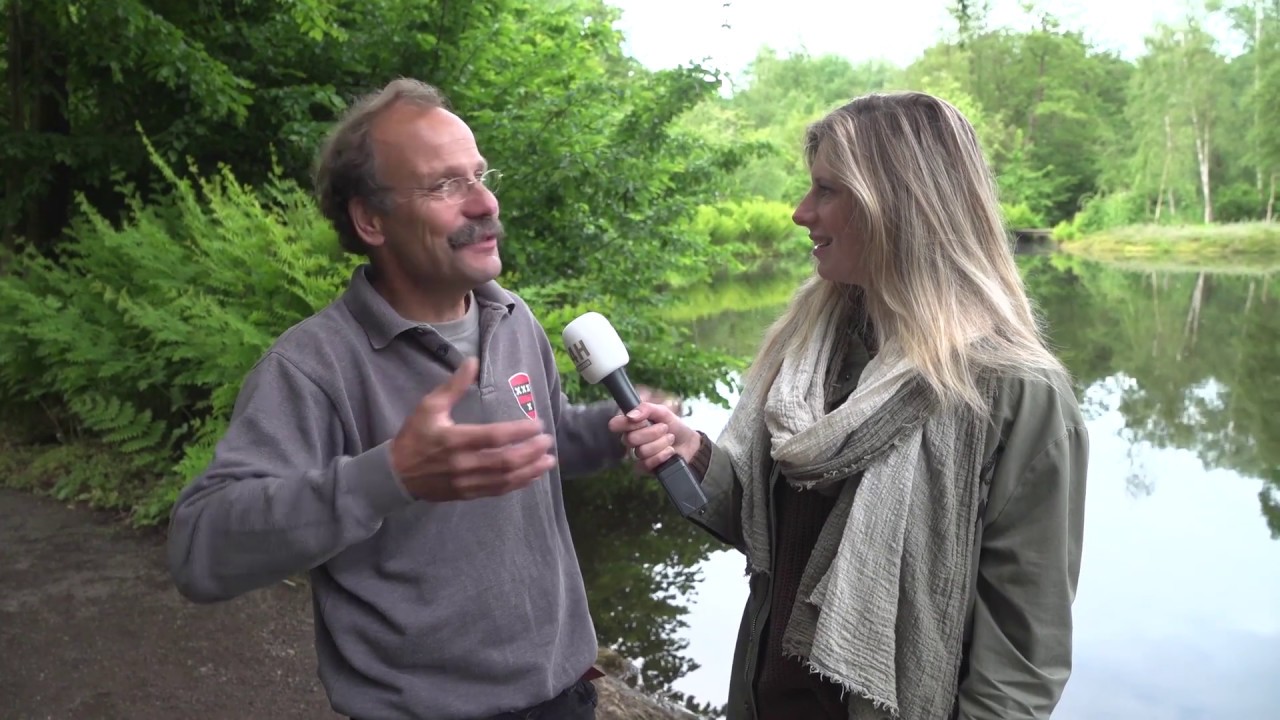 24H Amstelveen: Dauwtrappen in de Heemparken