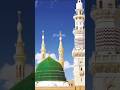allah # #facts