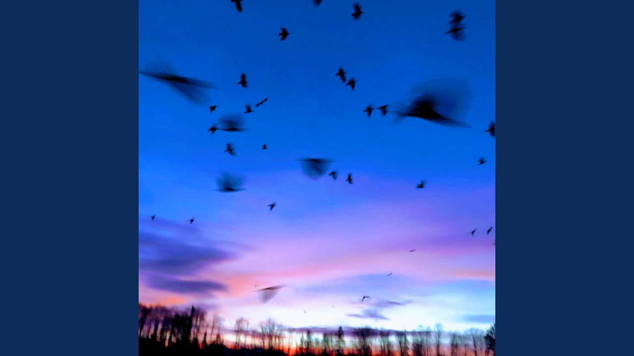 Watch Universum on YouTube Watch Universum on YouTube