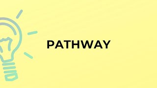 What is the meaning of the word PATHWAY?