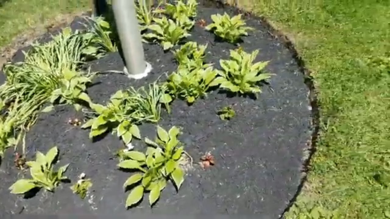 Improving The Landscaping By Edging And Mulching - YouTube