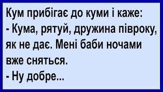 Кум прибіг до куми по допомогу... Сміх! Гумор! Позитив!