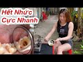 Sâu Răng Nhức Răng Đau Răng Hết Cực Nhanh Chỉ Với Loại Lá Cây Tự Nhiên Nhà Nào Cũng Có