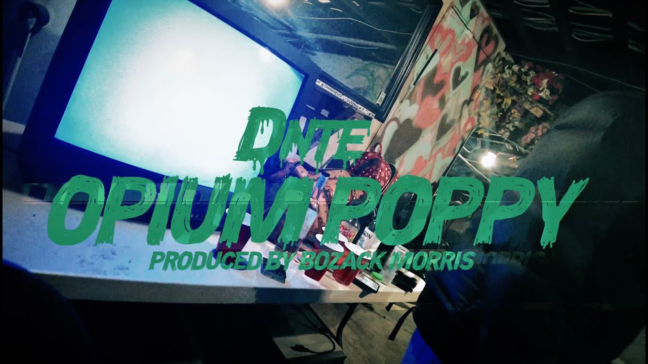 DNTE - Opium Poppy (Official Video) - YouTube