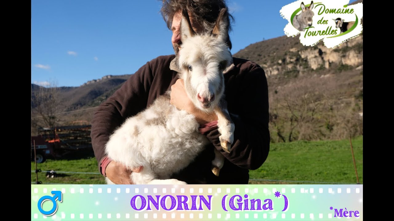 Diaporama de ONORIN (Gina* - 2024)