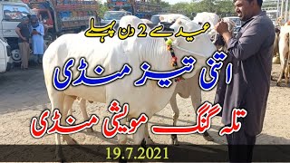 Eid Se 2 Day Pahle Talagang Maweshi Mandi 2021||dumba mandi || Maweshi mandi || Sair Sapata Pakistan