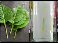 Chromatography Quiz
