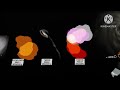 UNIVERSE SIZE COMPARISON