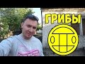 VLOG ► В гости приехала группа ГРИБЫ ✅