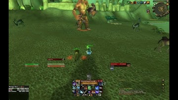 WoW Mysterious Camel Figurine!