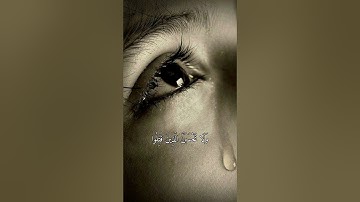 آيات من سورة آل عمران #ياسر_الدوسري