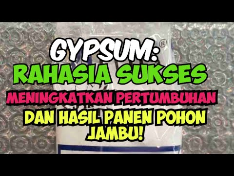 Video: Informasi Gypsum Taman - Apakah Gypsum Baik Untuk Tanah?